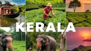 The world is longing to see Kerala 1.23 crore tourists in one year