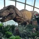 Singapore Hits One Million Indian Visitor Mark, Tourism Boosts Up With Footfall