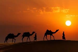 Rajasthan Unveils ‘Rajasthan in Summer’ Campaign to drive year-round Tourism